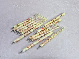 Lapiceras borrables CAPIBARA